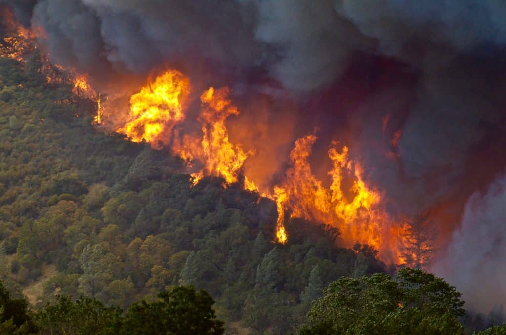 Wildland fire, creating a need for Wildland Warehouse gear.